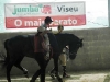 SOL Jumbo2